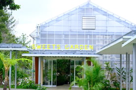 sweetsgardenexteria